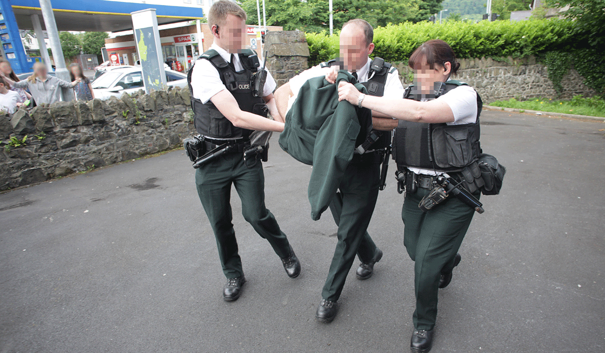 Swan Blocking Traffic